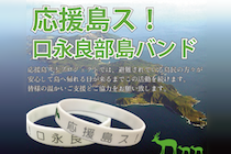 成果物公開セミナー（観光チーム）　開催報告！