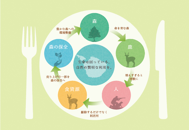 共生と循環イラスト